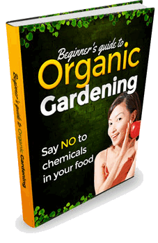 Beginners Guide to Organic Gardenening
